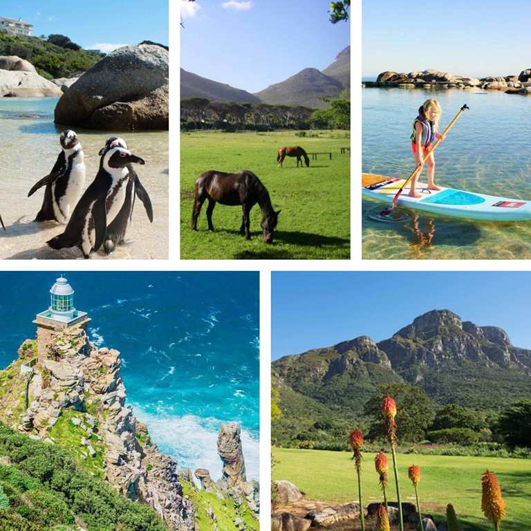 Here’s the Inside Scoop on fun family activities in beautiful Cape Town ...